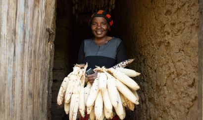 Women farmer with cobs of maize
