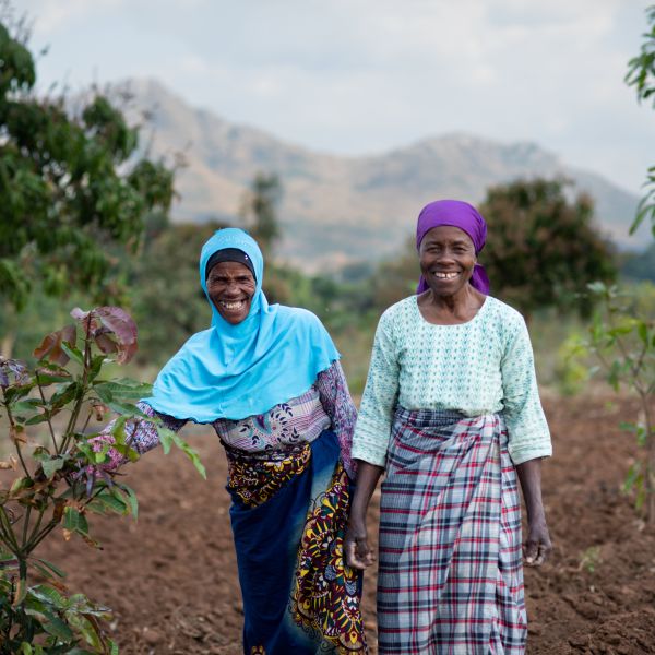 Two farmers stand next to the trees they've planted as part of our climate resilience program