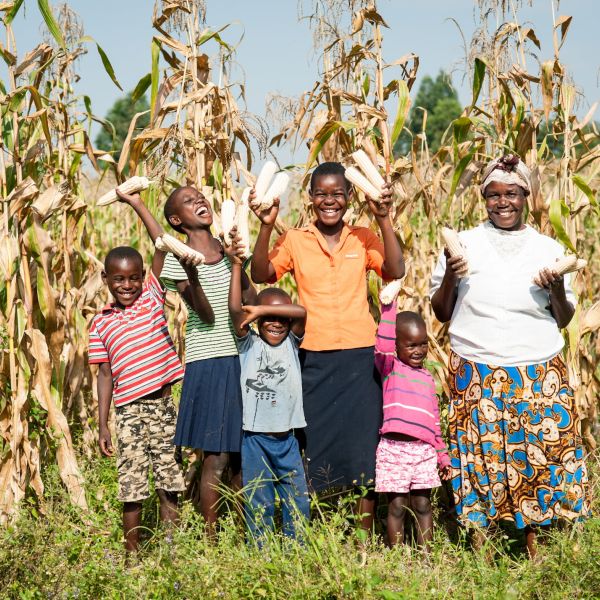 A family stand holding maize cobs in their maize field
