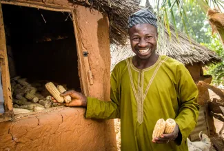 A smiling farmer holding maize in their hands and standing next to their harvest.