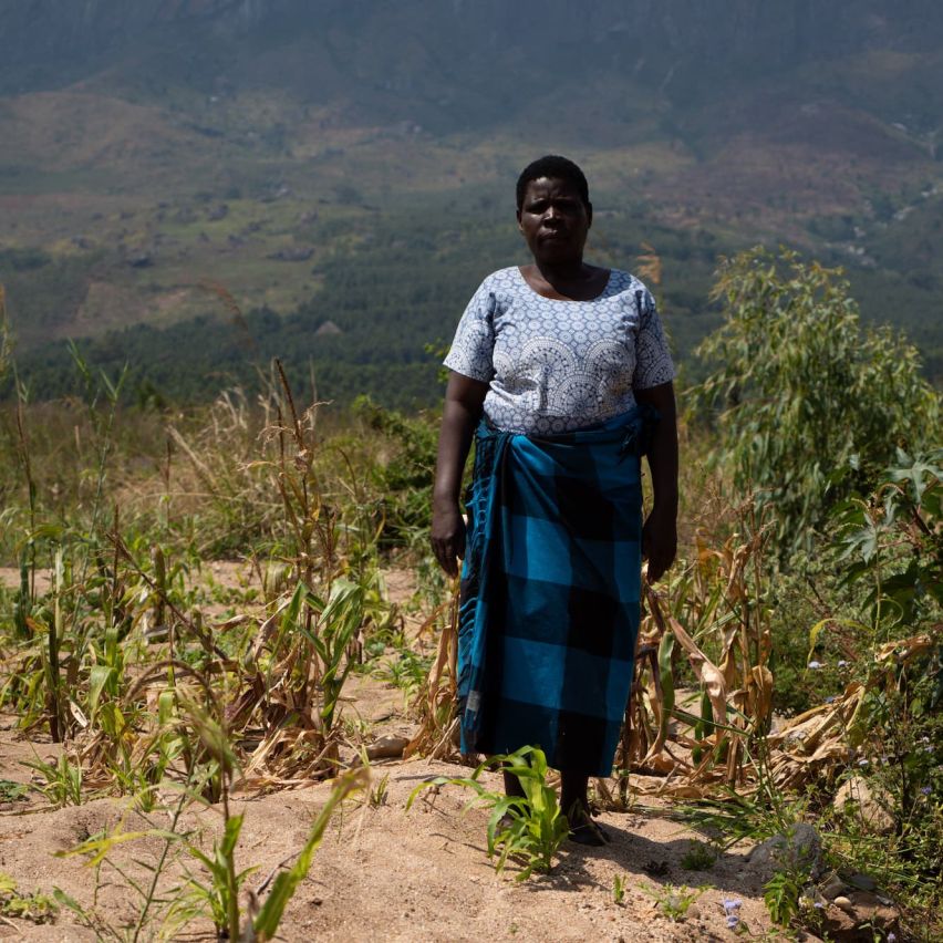 Enife Matemba stands in her destroyed field in Mulanje, Malawi