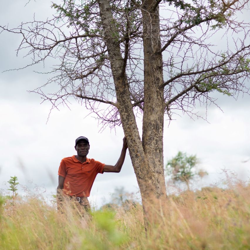 Smallholder farmer stands in his field next to a musangu tree.