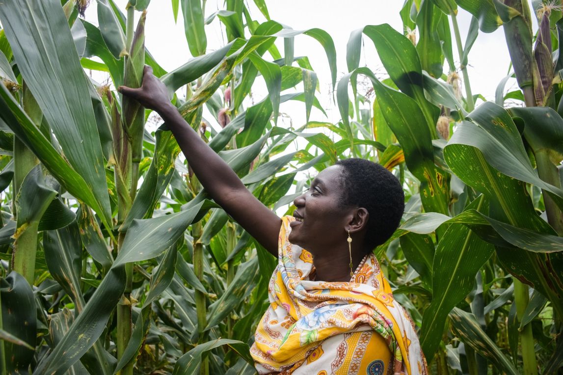 Tulalumba Luvinga inspecting her crops