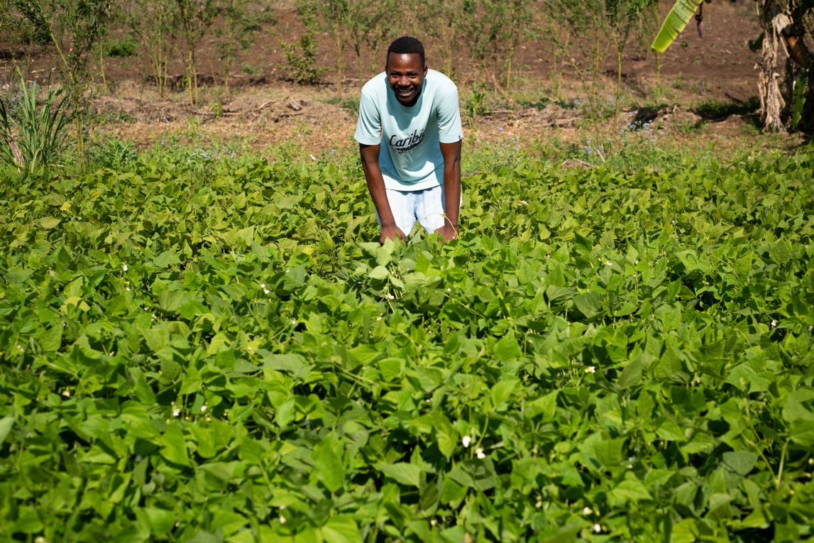Malawian farmer William Sam with his winter bean crop